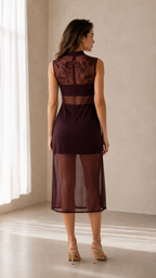 Elegance Sheer Mesh Embroidered Panel Midi Dress in Burgundy back view